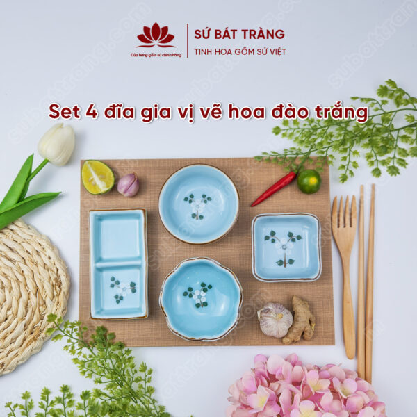 set-4-dia-gia-vi-ve-hoa-dao-trang
